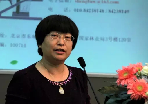 世界自然基金会WWF中国执行总监李琳博士发言.jpg